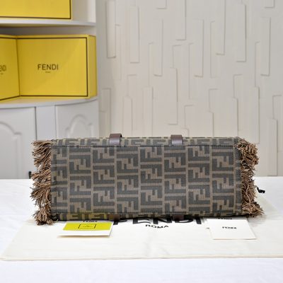 Fendi Bag — 6