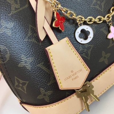 Louis Vuitton Bag — 5