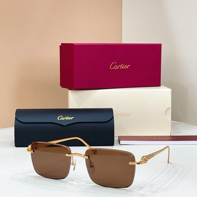 Cartier sunglasses — 7