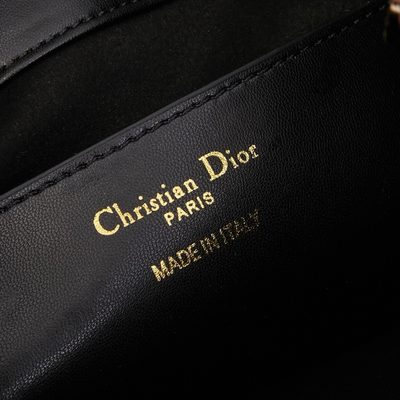 Dior Bag — 9