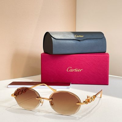 Cartier Sunglasses — 6