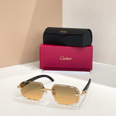 Cartier Sunglasses — 8