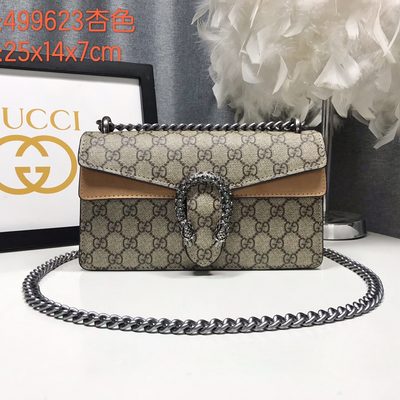 Gucci Bag