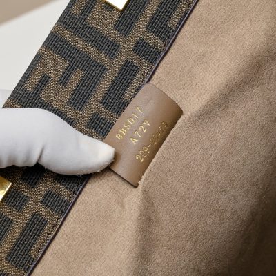 Fendi Bag — 8