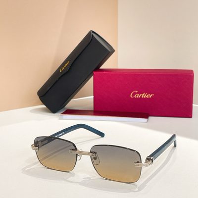 Cartier Sunglasses — 3