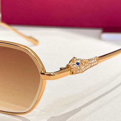 Cartier Sunglasses — 9