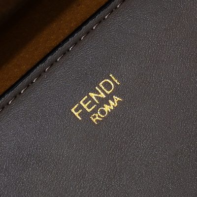 Fendi Bag — 8