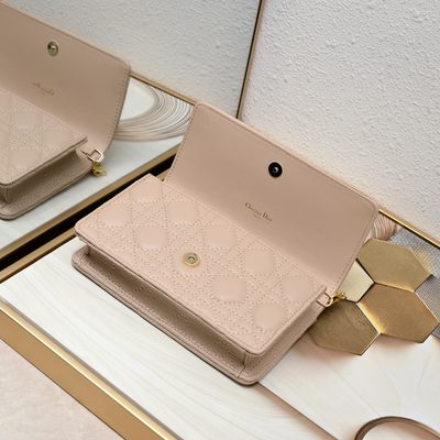 Dior Bag — 6