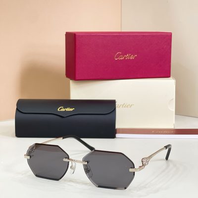 Cartier sunglasses — 7