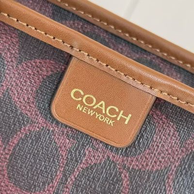 Coach Bag — 5