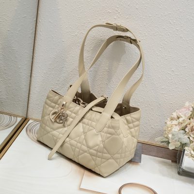 Dior Bag — 4