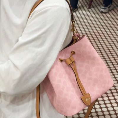 Coach Bag — 9