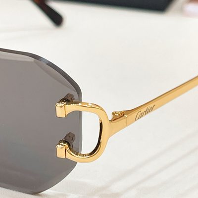 Cartier Sunglasses — 6