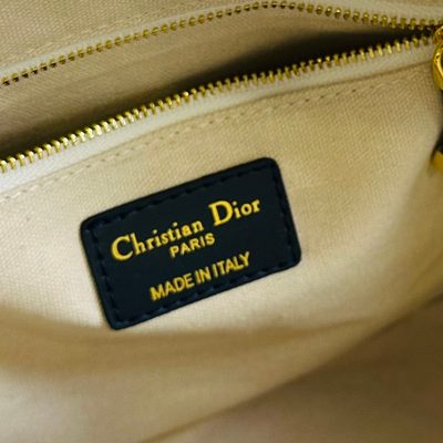 Dior Bag — 9