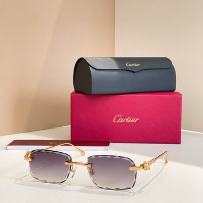 Cartier Sunglasses — 8