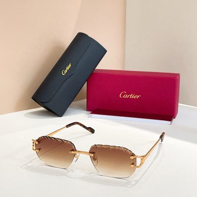 Cartier Sunglasses — 6