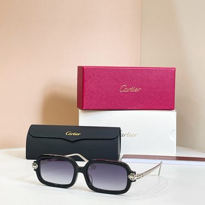 Cartier Sunglasses — 5