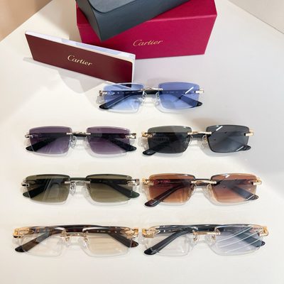 Cartier Sunglasses — 9