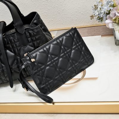 Dior Bag — 6