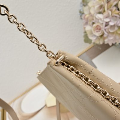 Dior Bag — 6