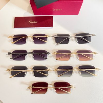 Cartier Sunglasses — 9
