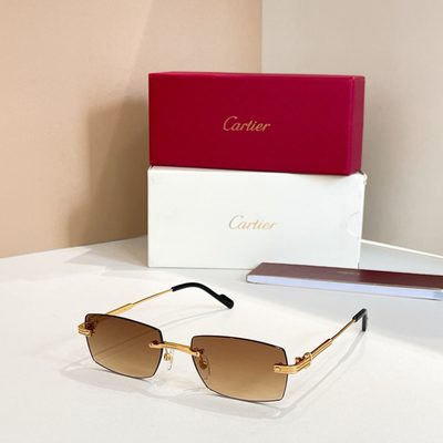 Cartier Sunglasses — 5