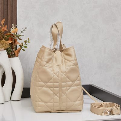 Dior Bag — 4