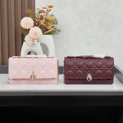 Dior Bag — 10