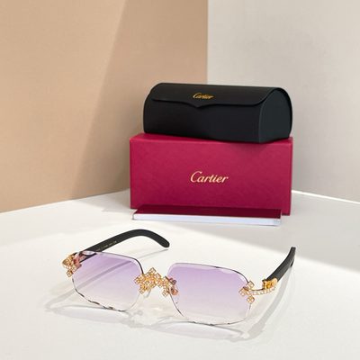 Cartier Sunglasses — 6