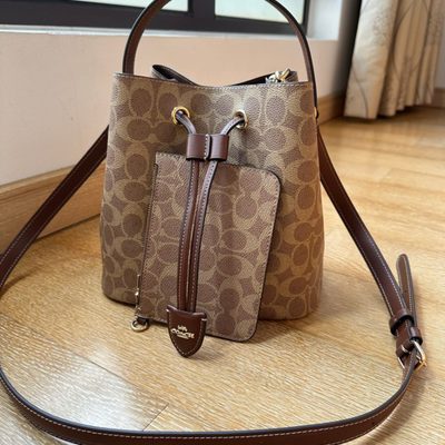Coach Bag — 3