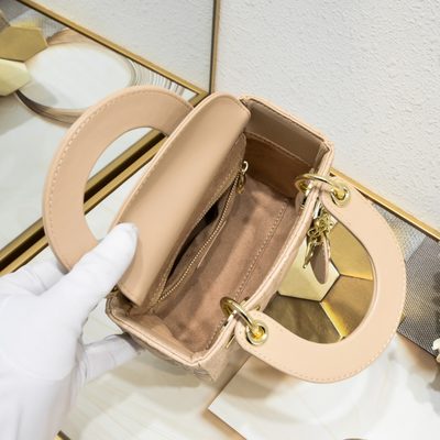 Dior Bag — 7