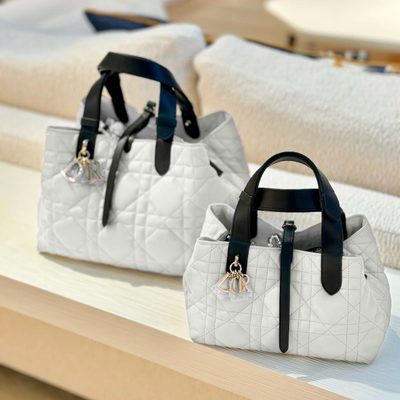 Dior Bag