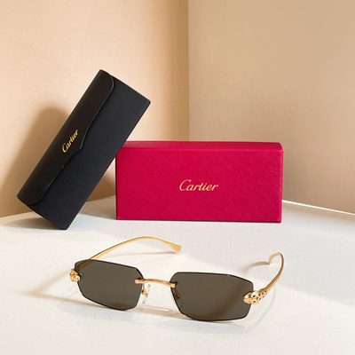Cartier Sunglasses — 3