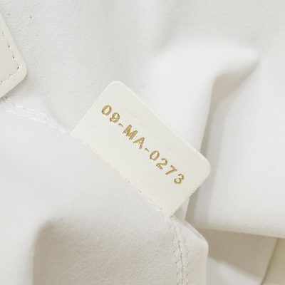 Dior Bag — 9