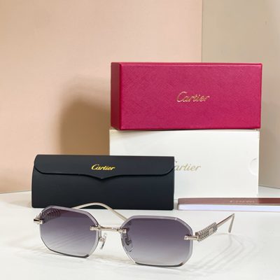 Cartier Sunglasses — 9