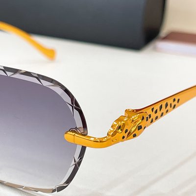 Cartier Sunglasses — 7