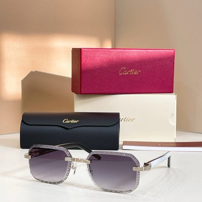 Cartier Sunglasses — 4