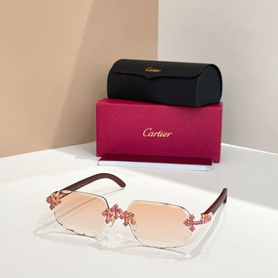 Cartier Sunglasses — 4