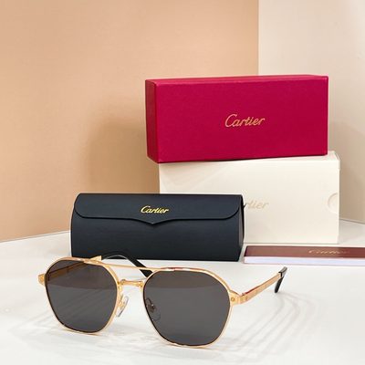 Cartier Sunglasses — 8