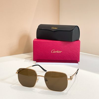 Cartier Sunglasses — 7
