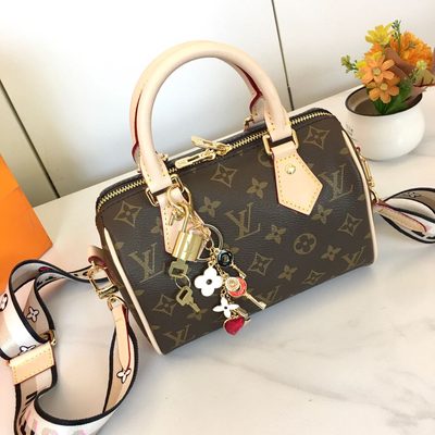Louis Vuitton Bag — 6