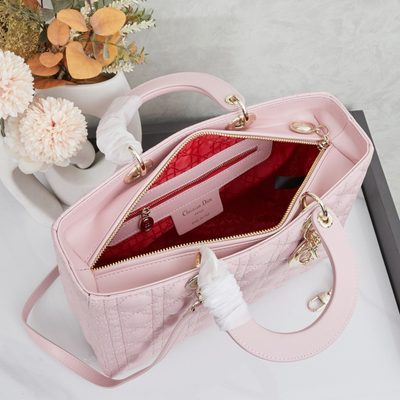 Dior Bag — 9