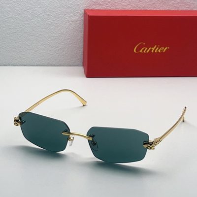 Cartier Sunglasses — 8