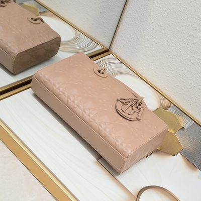 Dior Bag — 4