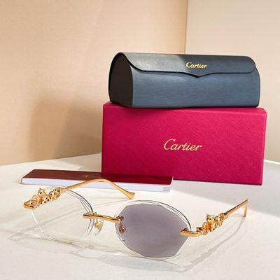 Cartier Sunglasses — 4
