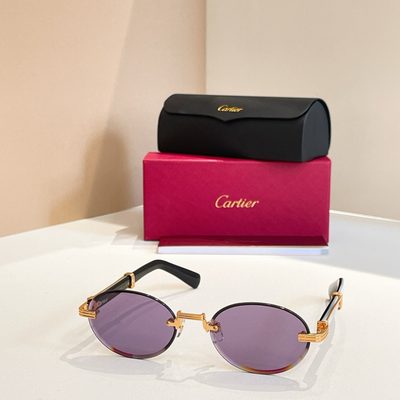 Cartier Sunglasses — 7