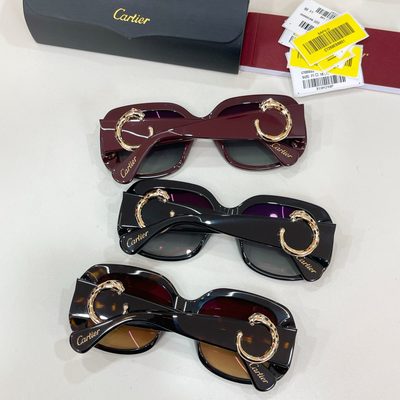 Cartier Sunglasses — 8