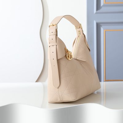 Dior Bag — 3