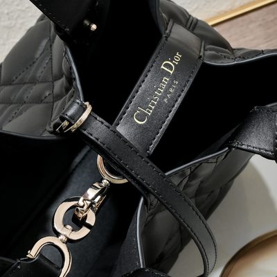 Dior Bag — 5