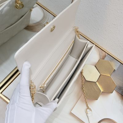 Dior Bag — 7
